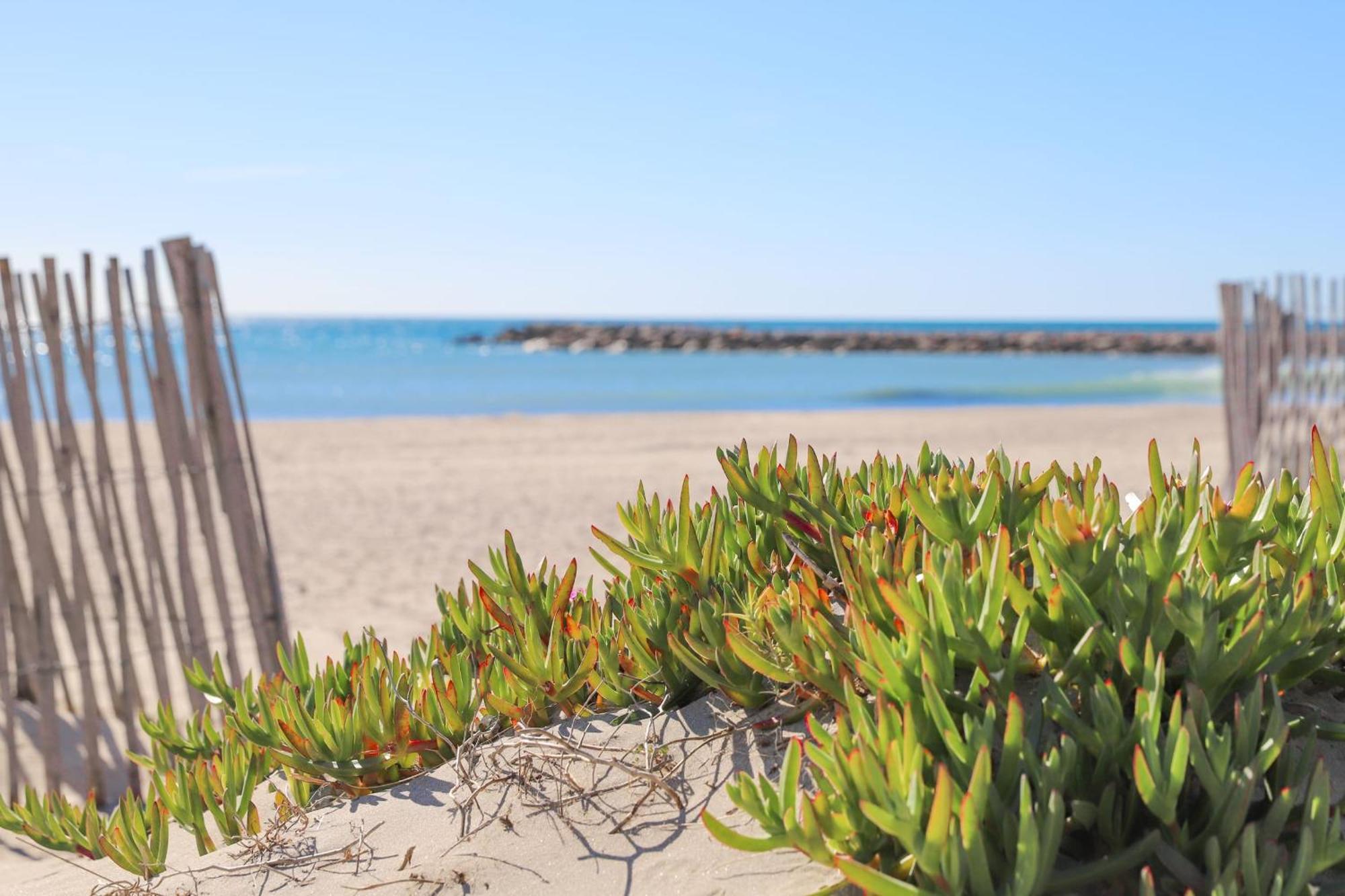 T2 Boheme Centre Ville Palavas Proche Plage Luaran gambar